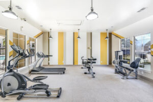 Well-equipped fitness center at Acclaim at South Congress with treadmills, elliptical machines, and strength-training equipment.