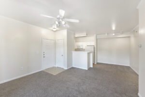 Open-concept living and kitchen area with carpeted floors, white cabinetry, and track lighting.